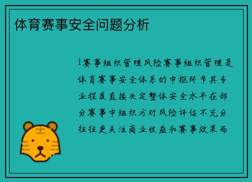 体育赛事安全问题分析